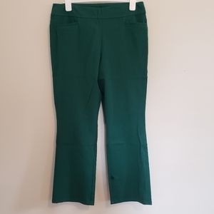 Soft Surroundings green pull on pants with stretch Size LP